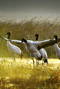 ���ݱϽڣ��������ʱ