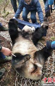 �Ź����è�����ԡ��ɹ��ز�